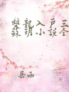 双龙入户三人行苏玥小说全文阅读