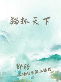 猫抓天下