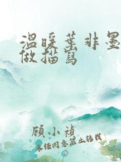 温暖叶非墨车内做描写