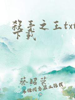 杀手之王txt下载