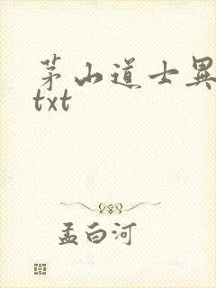 茅山道士异界游txt