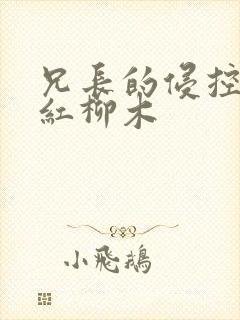 兄长的侵控by红柳木