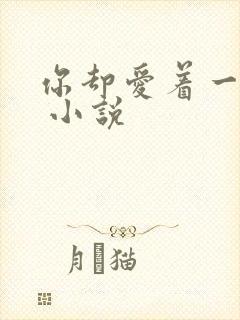 你却爱着一个他 小说