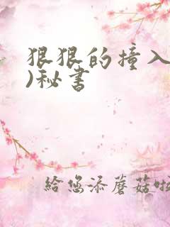 狠狠的撞入(h)秘书