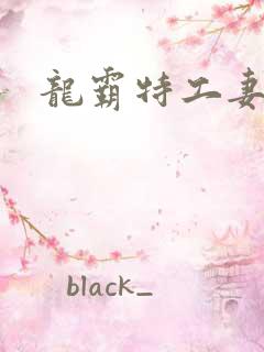 龙霸特工妻