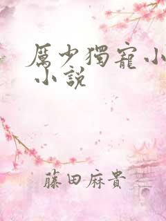 厉少独宠小娇妻 小说