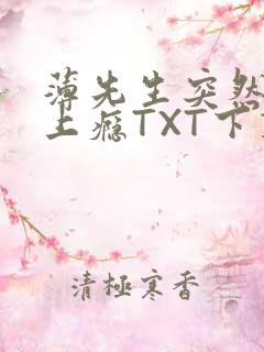 薄先生突然黏她上瘾TXT下载