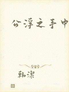 公浮之手中字5
