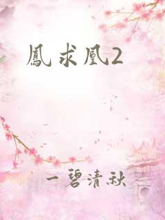 凤求凰2