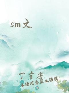 sm文