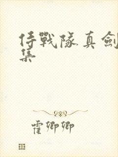 侍战队真剑者全集