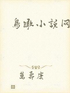 鸟瞰小说网