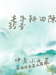 老牛耕田陈雪435章