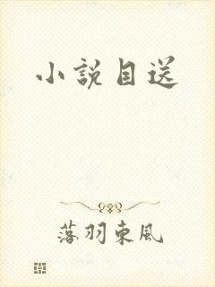 小说目送