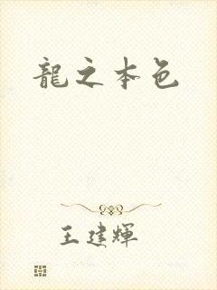 龙之本色
