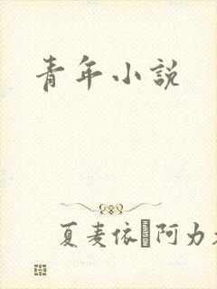 青年小说