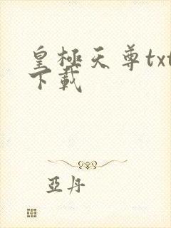 皇极天尊txt下载