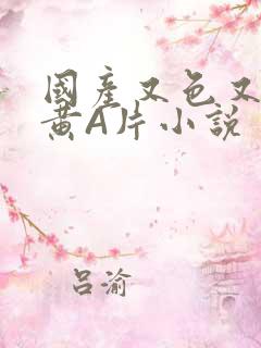 国产又色又爽又黄A片小说