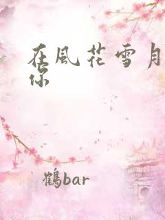 在风花雪月里等你