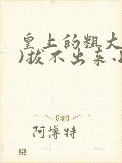 皇上的粗大(h)拔不出来小说