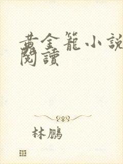 黄金笼小说免费阅读