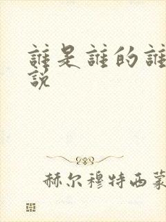 谁是谁的谁 小说