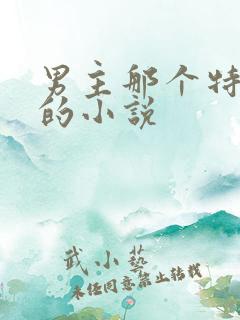 男主那个特别大的小说
