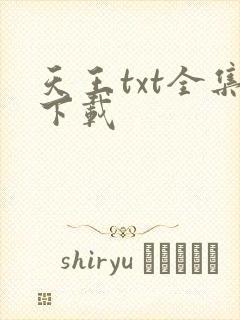 天王txt全集下载