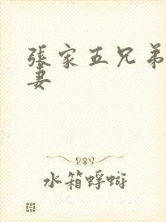 张家五兄弟共一妻