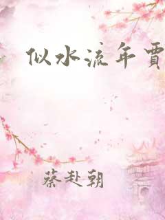 似水流年贾二虎