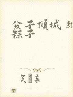 公子倾城 维和粽子