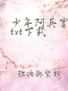 少年阿兵宾小说txt下载