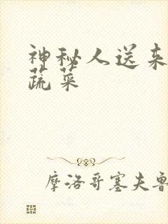 神秘人送来千斤蔬菜