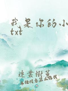 我是你的小小狗txt