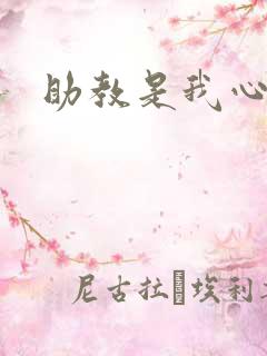 助教是我心尖宠