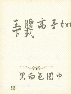 王牌高手txt下载