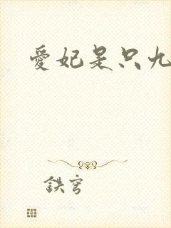 爱妃是只九尾猫