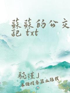 苏苏的公交车日记 txt