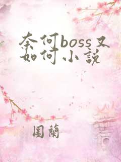 奈何boss又如何小说