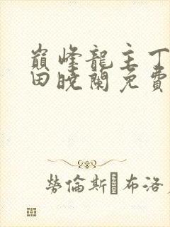 巅峰龙主丁长顺田晓兰免费阅读