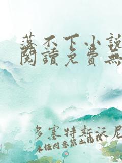 落不下小说全文阅读免费无弹窗