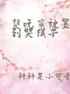 楚晚宁被墨燃做到哭棋子