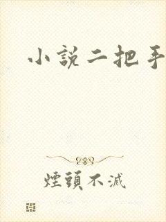 小说二把手