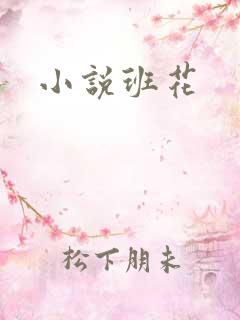 小说班花