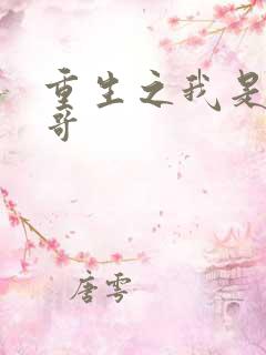重生之我是大帅哥