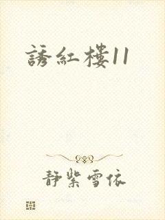 诱红楼11