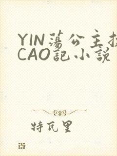 YIN荡公主挨CAO记小说