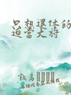 只想退休的我被迫当大将