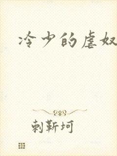 冷少的虐奴
