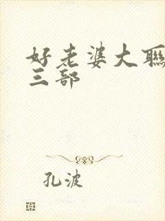 好老婆大联盟第三部
